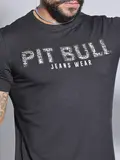 CAMISETA GOLA O LOGOMANIA PIT BULL JEANS COM VISUAL MODERNO